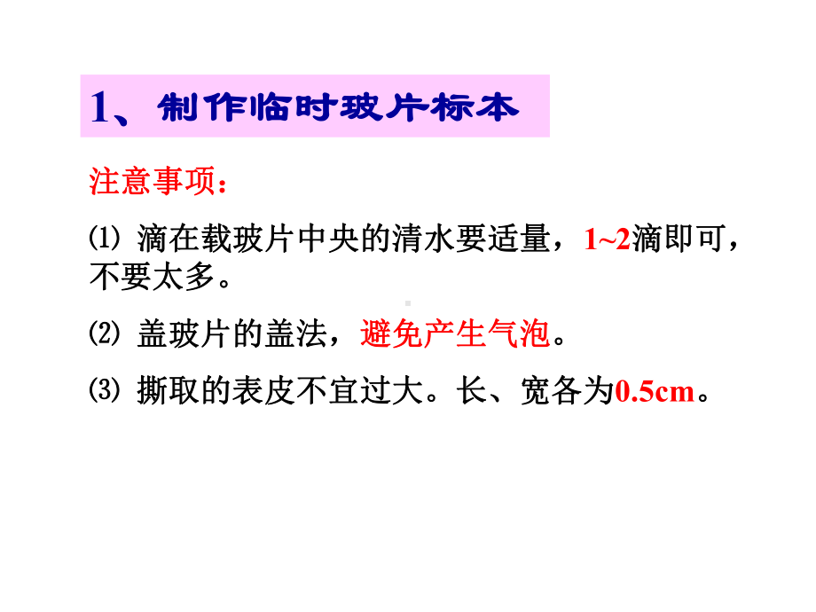 苏教版生物七年级上册植物细胞的结构与功能课件.pptx_第3页