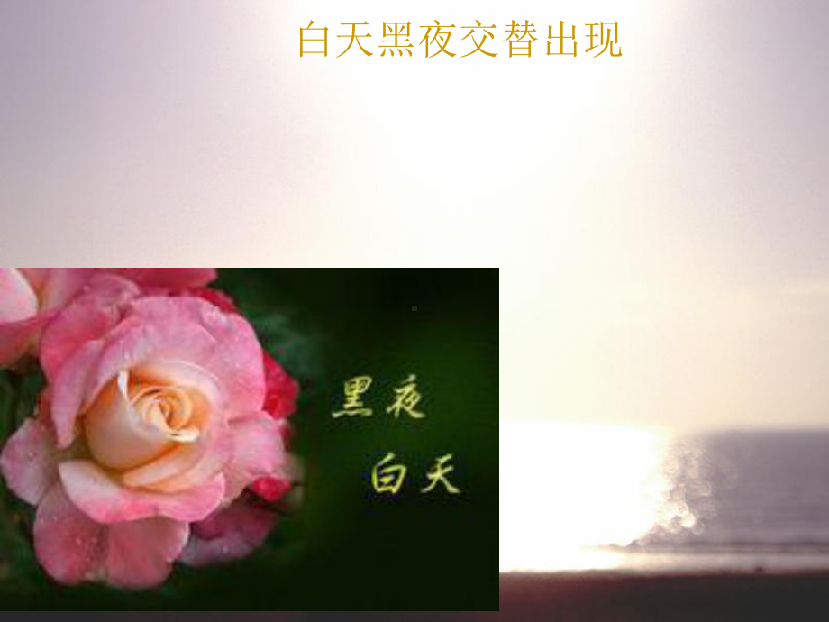 循环小数课件.ppt_第3页