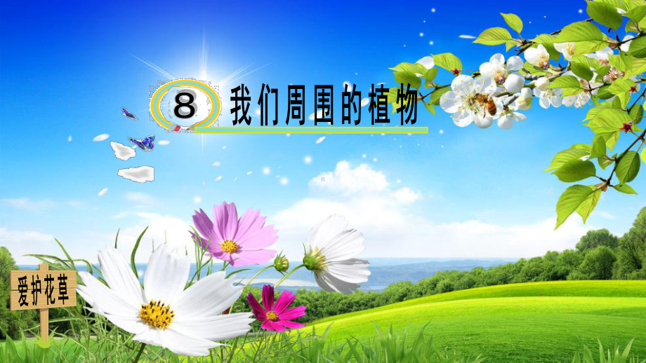 小学科学一年级高效课堂《我们周围的植物》课件1.pptx_第2页