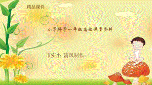 小学科学一年级高效课堂《我们周围的植物》课件1.pptx