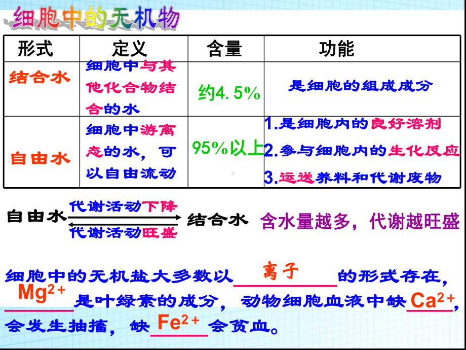 人教版高中生物必修一第二章复习课件.ppt_第3页