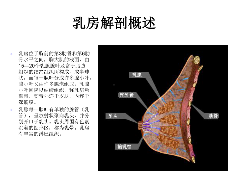 中医培训教程-常见乳房病的诊与治共20p.ppt_第2页