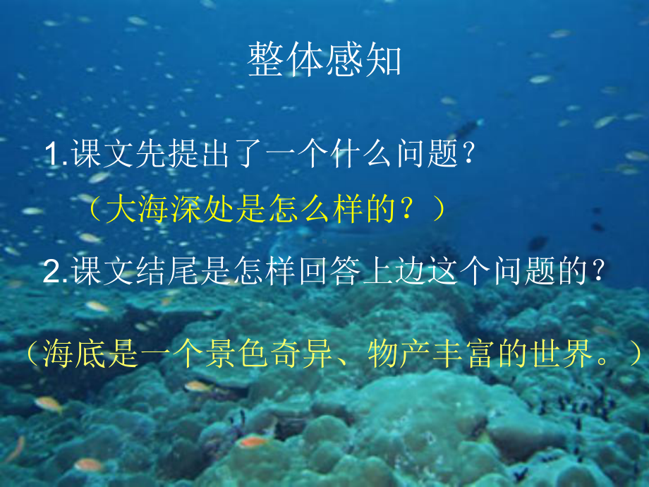 海底世界优秀课件.pptx_第2页