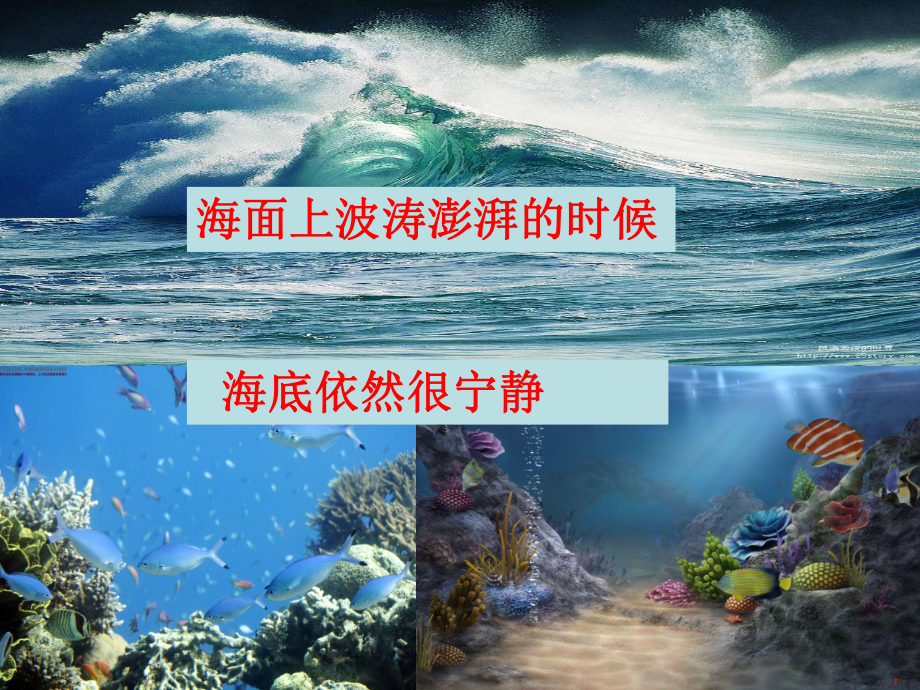 海底世界优秀课件.pptx_第3页