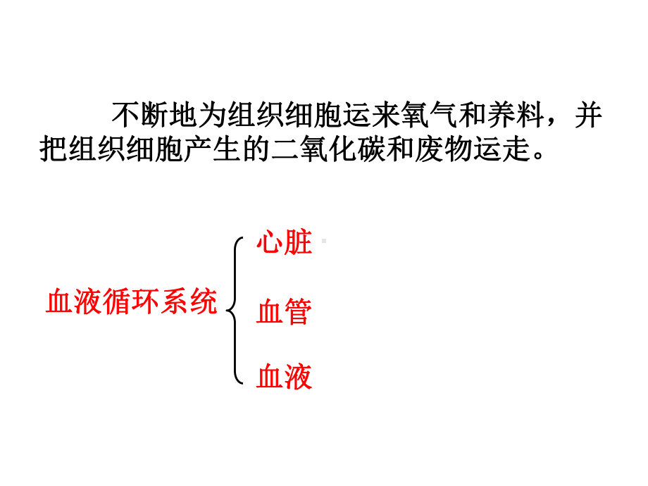 人体内的物质运输济南版.ppt_第2页