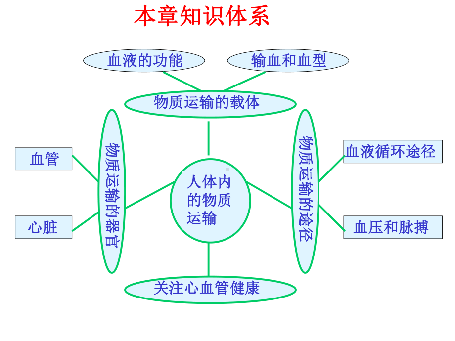 人体内的物质运输济南版.ppt_第3页