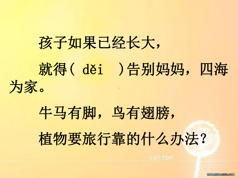 植物妈妈有办法课件.ppt_第3页