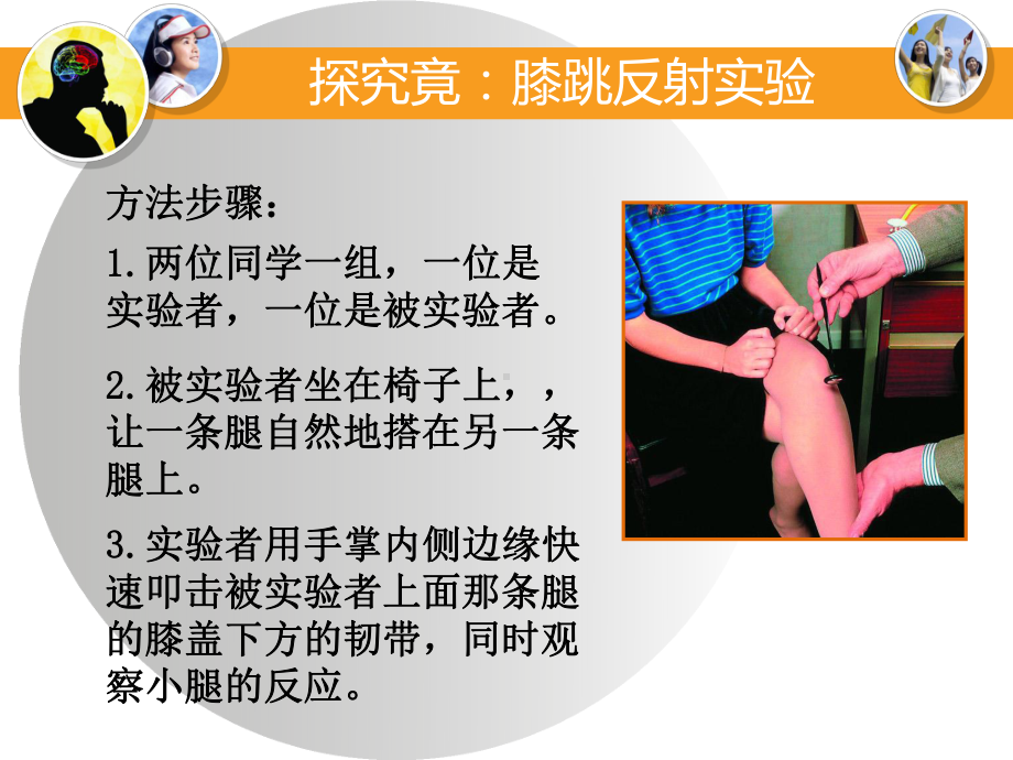 神经调节的基本方式—反射课件.ppt_第3页