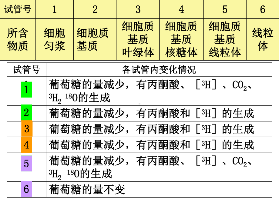 细胞呼吸过程原理及应用课件.ppt_第2页