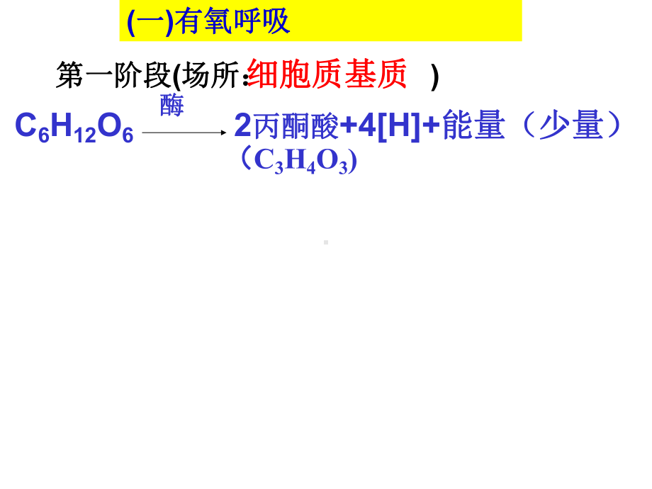 细胞呼吸过程原理及应用课件.ppt_第3页