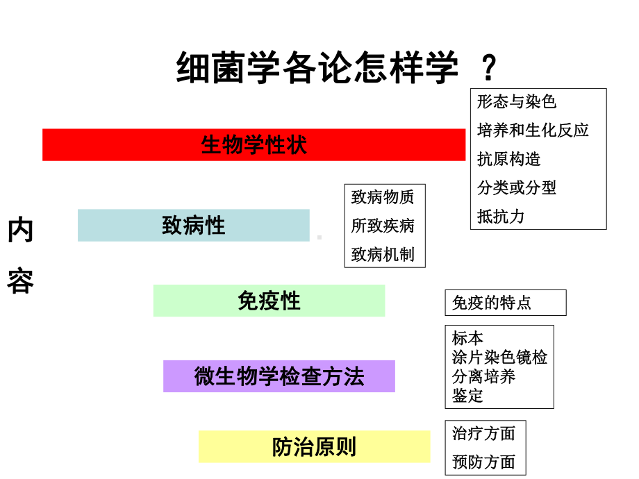 细菌学各论样学课件.ppt_第1页