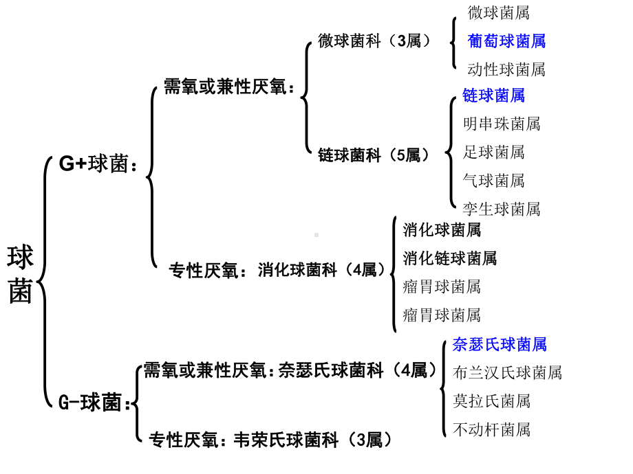 细菌学各论样学课件.ppt_第3页