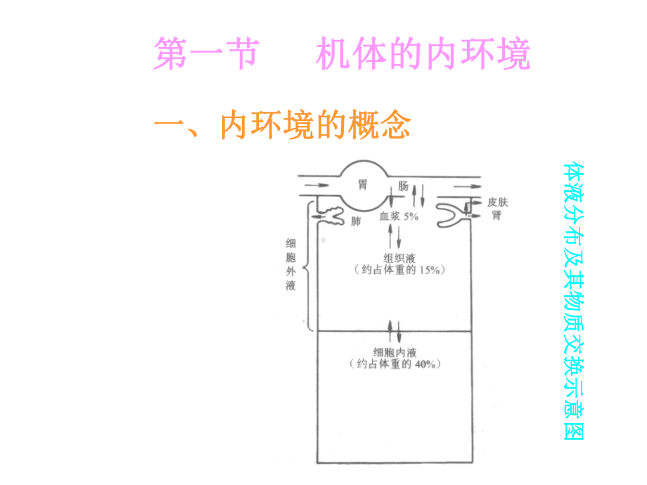 心血管生理(血液).ppt_第3页