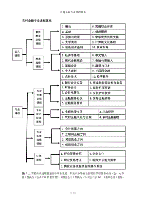 农村金融专业课程体系参考模板范本.doc