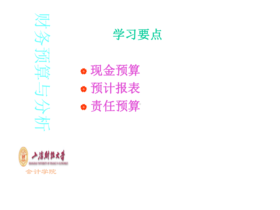 第十六财务预算课件.ppt_第2页