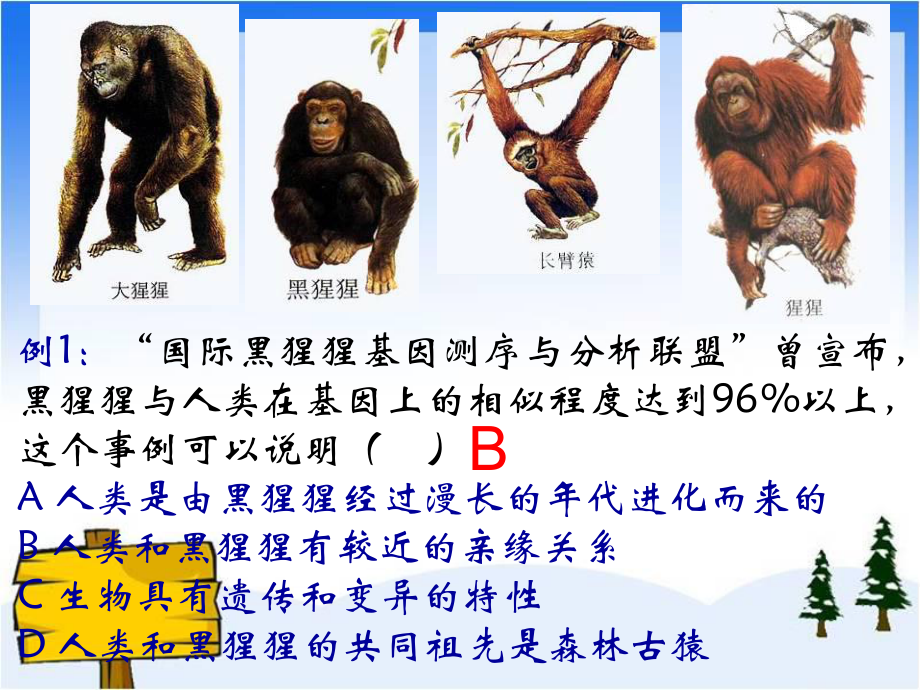 人教版七年级下册生物学人类的起源和发展优秀课件(同名1541).ppt_第3页