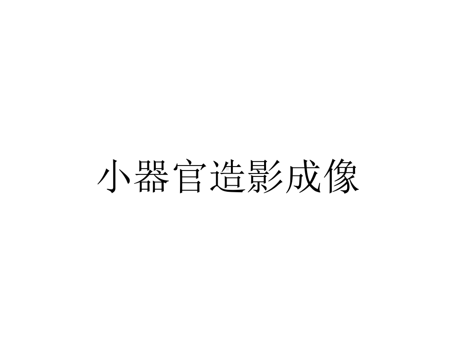 小器官造影成像.pptx_第1页