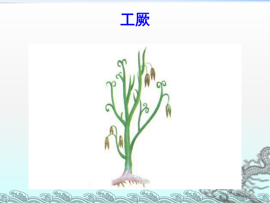 《保护生物多样性》课件2.ppt_第3页