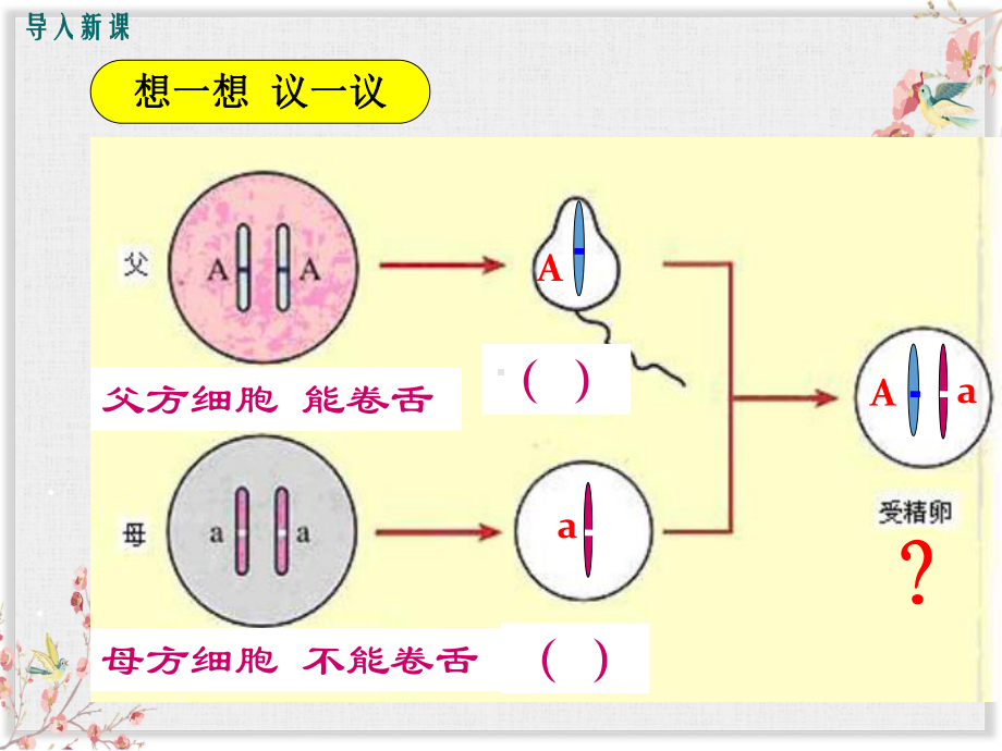 人教版八年级生物下册课件基因的显性和隐性.ppt_第3页