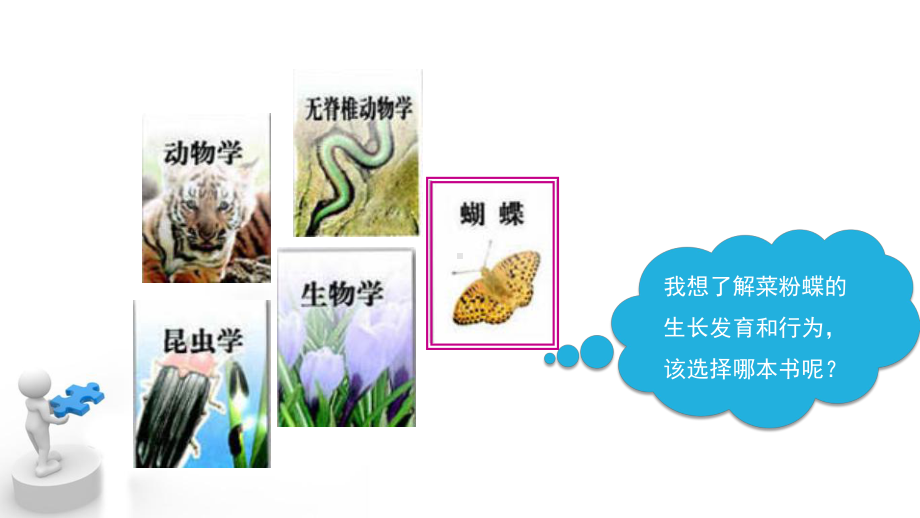 《尝试对生物进行分类》课件.ppt_第3页