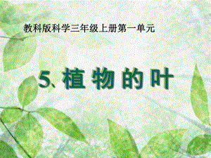 《植物的叶》精美课件粤教版小学12.ppt