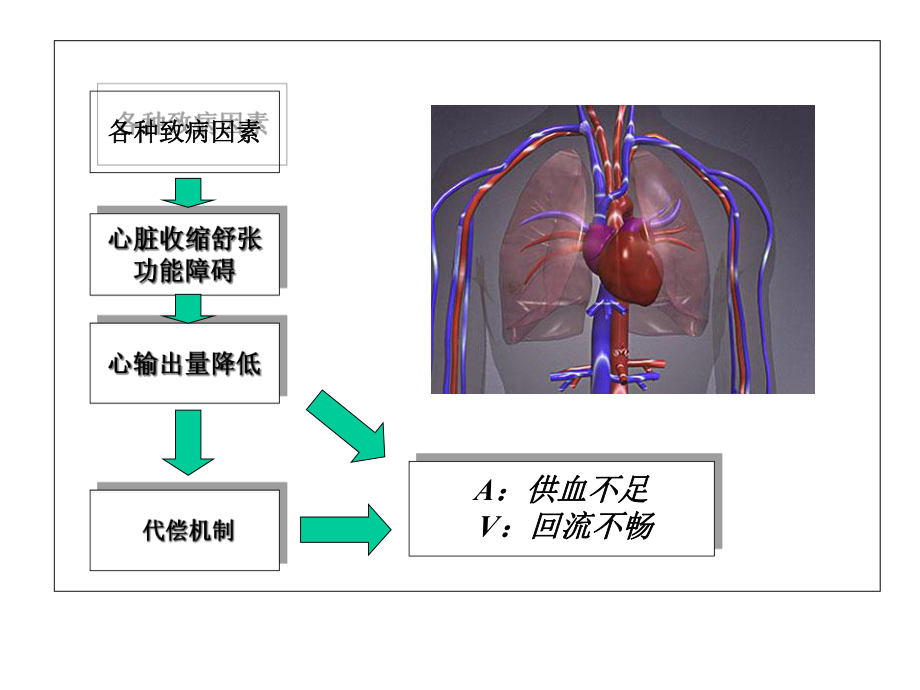 临床药理学：心衰的药物治疗.ppt_第3页