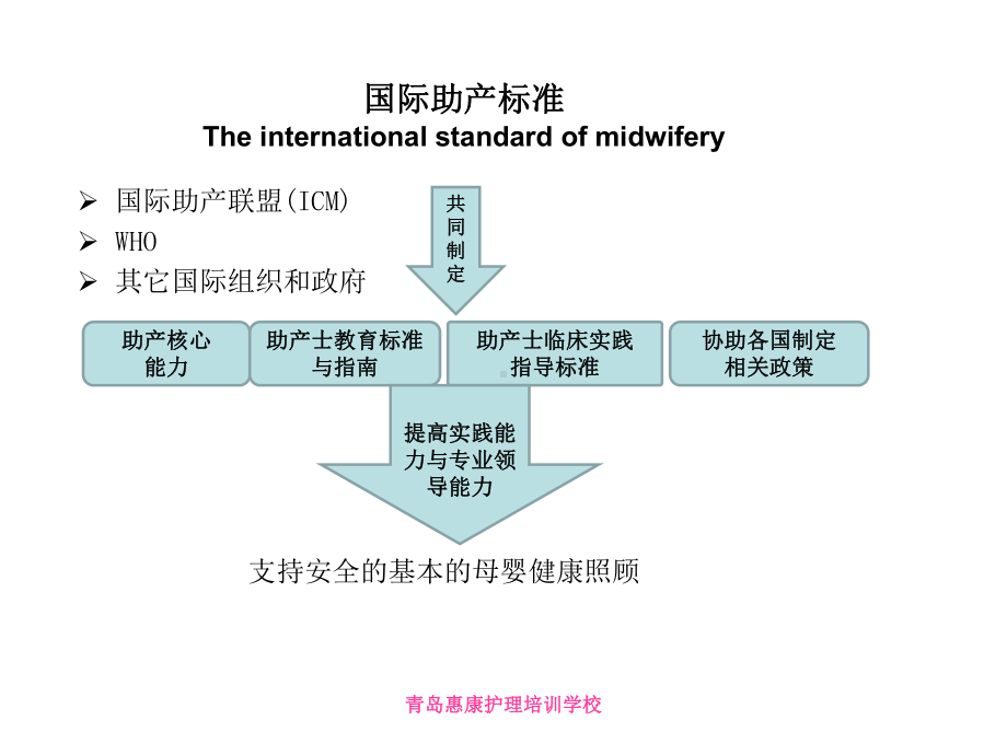 产科高端服务体系医学.ppt_第3页