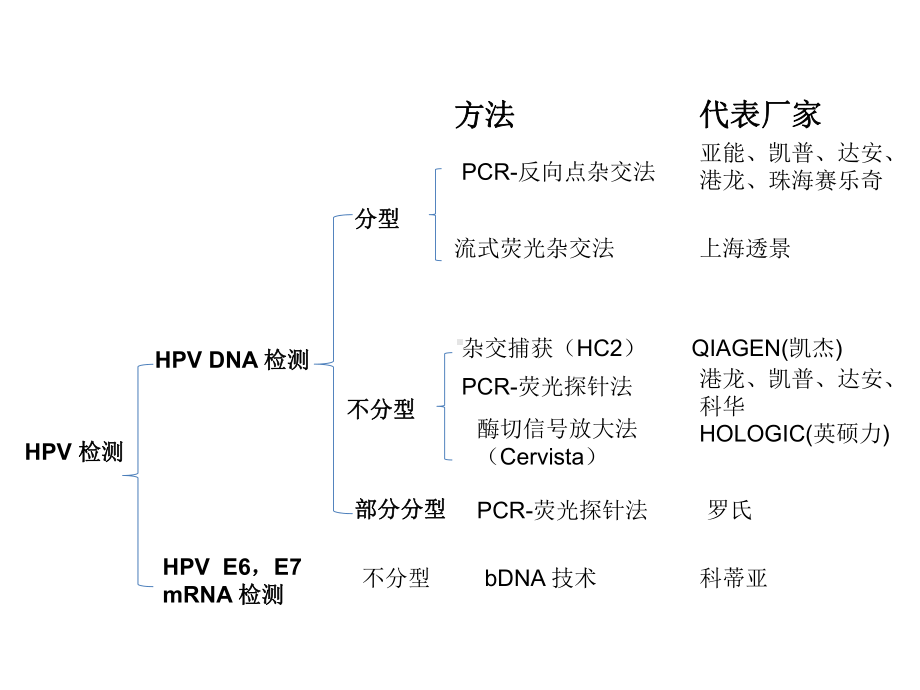 hpv-主要竞争产品分析.ppt_第2页