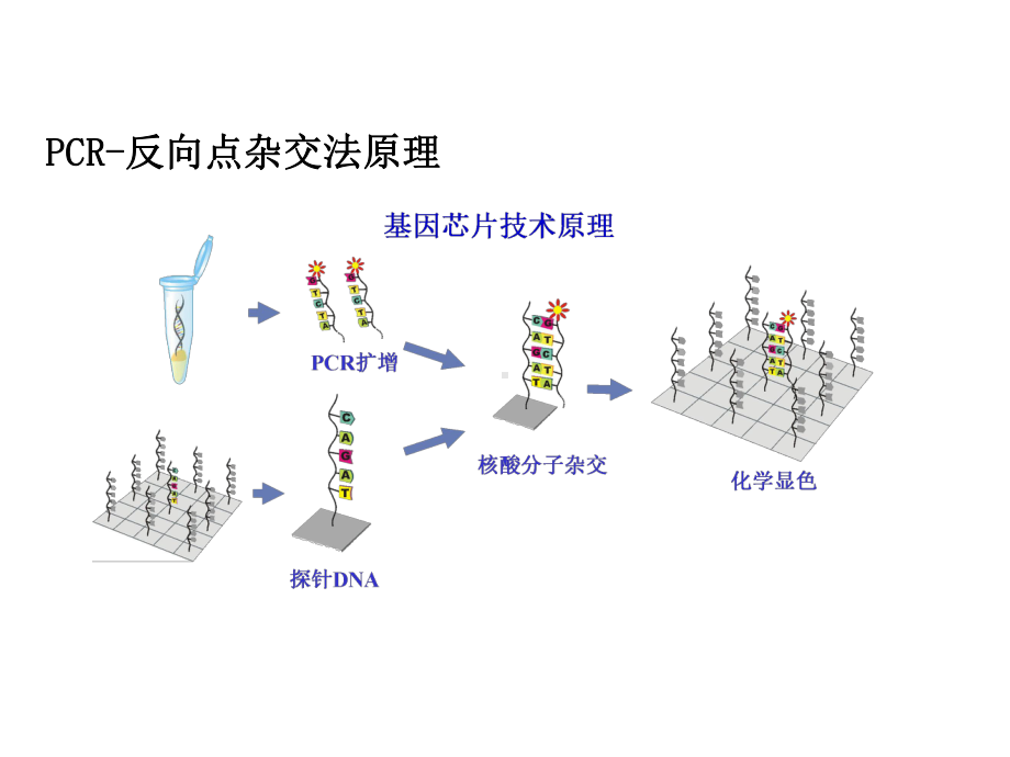 hpv-主要竞争产品分析.ppt_第3页