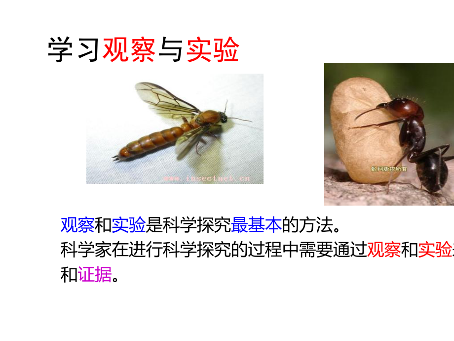 七年级生物上册1.1.2生物学的基本研究方法第1课时课件新版苏科版.ppt_第3页