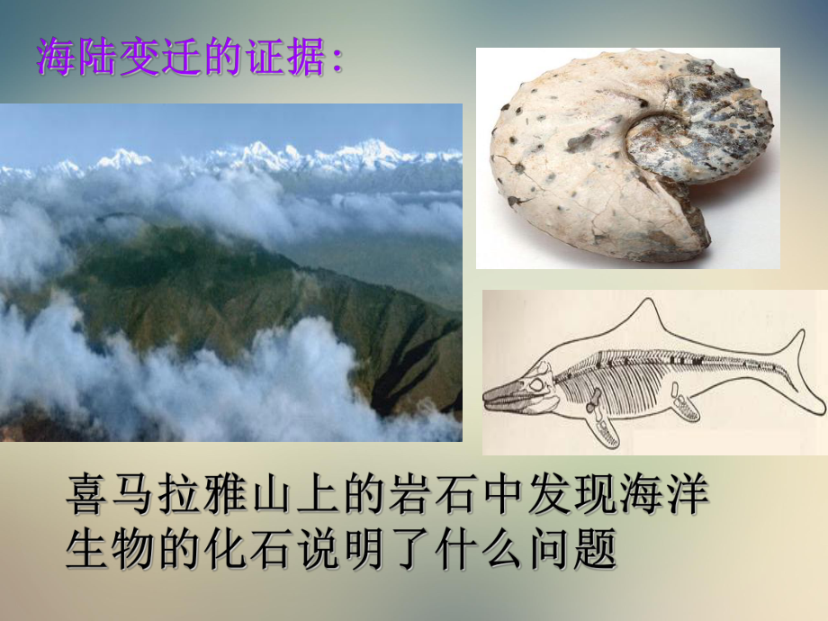 商务星球版七年级地理上册海陆变迁课件1.ppt_第2页