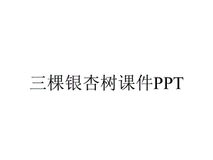 三棵银杏树课件PPT.ppt