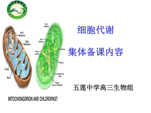 高三生物代谢模块集体备课(模板)课件.ppt