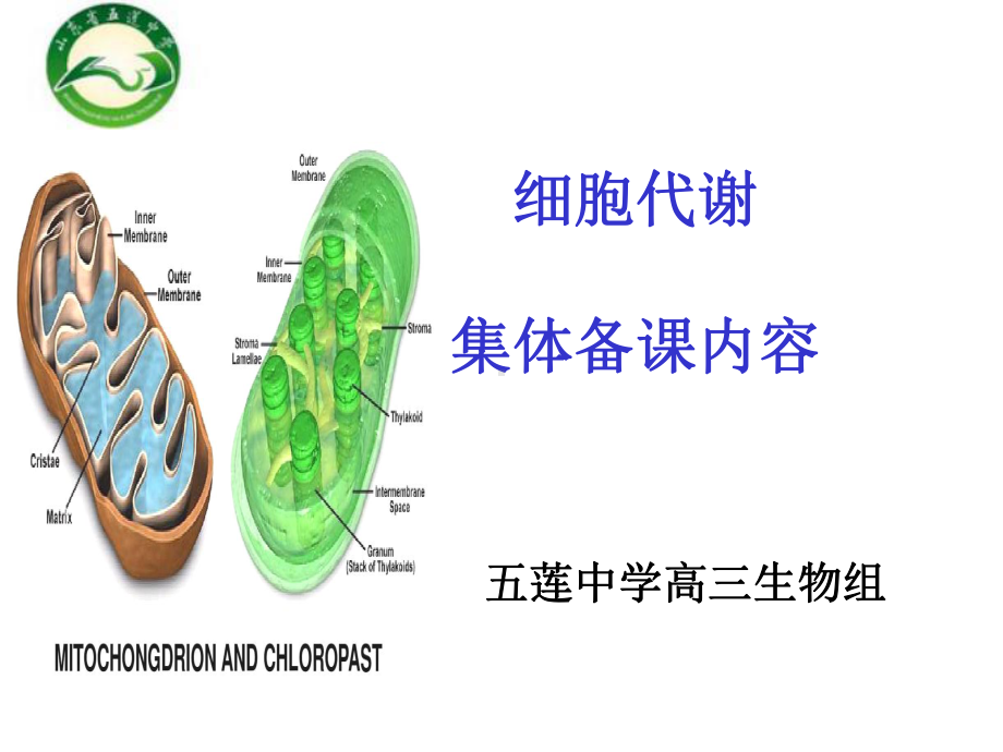 高三生物代谢模块集体备课(模板)课件.ppt_第1页