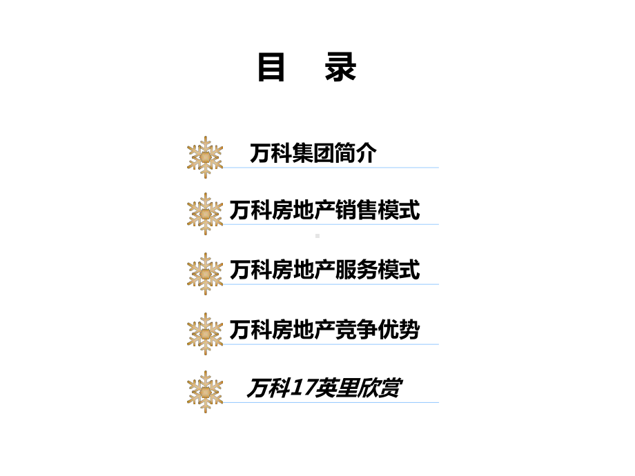 某经营模式分析课件.ppt_第2页