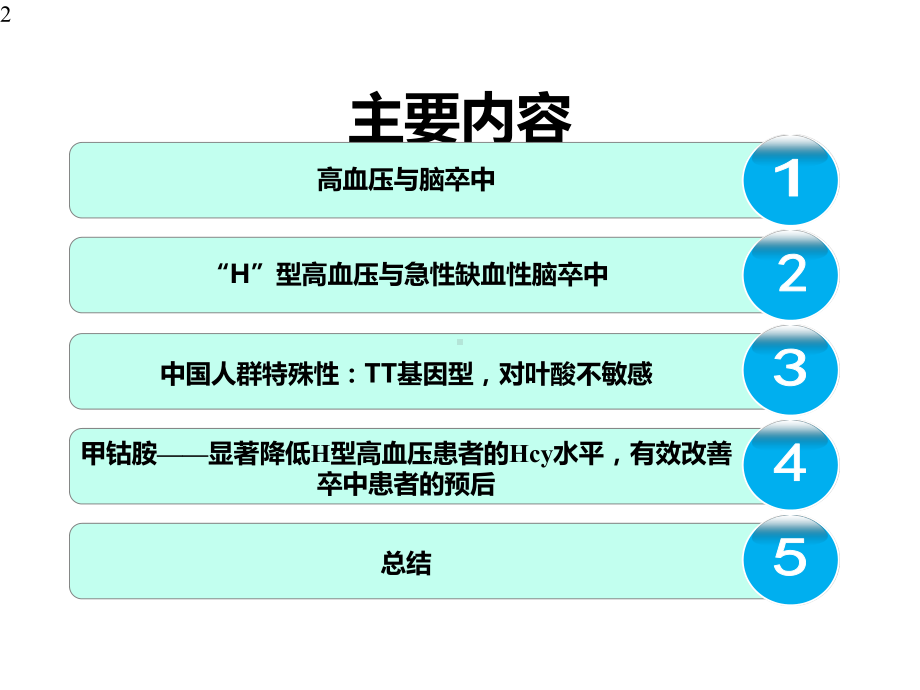 H型高血压和脑卒中-精品文档.pptx_第2页