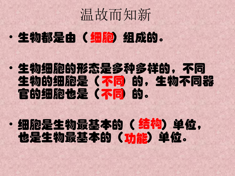 教科版六年级科学下册用显微镜观察身边的生命世界(三)优秀课件.ppt_第2页