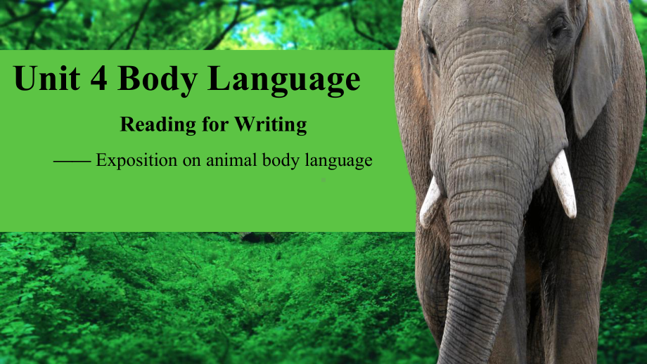 Unit 4 Body Language Reading for Writing(ppt课件) (5)-2022新人教版（2019）《高中英语》选择性必修第一册.pptx_第1页