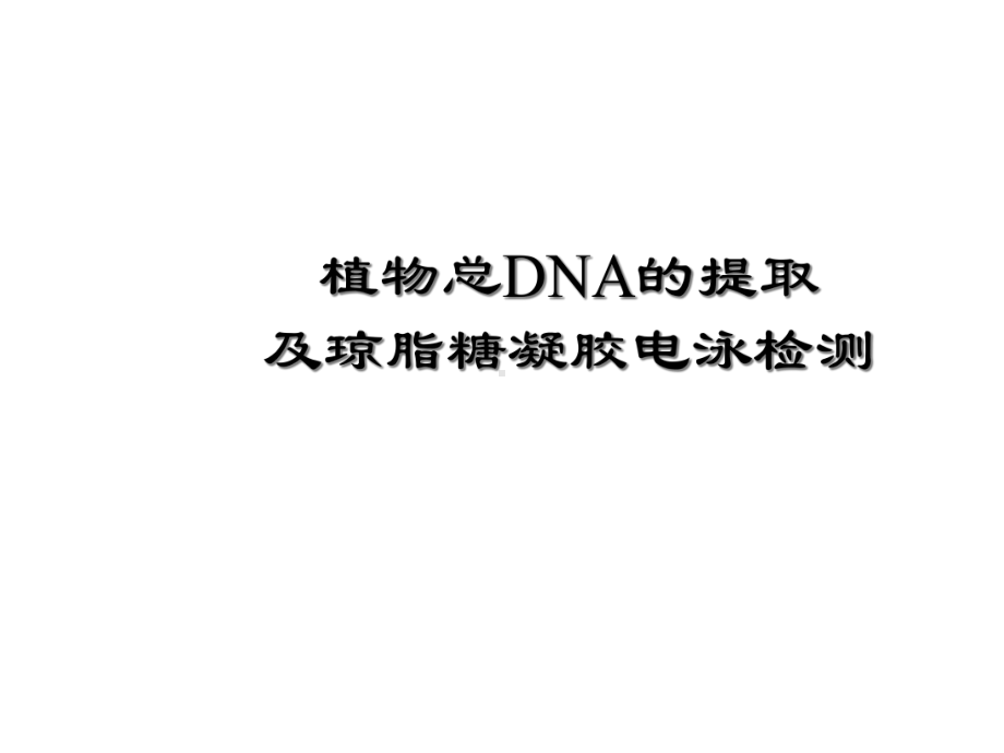 植物总DNA提取及琼脂糖凝胶电泳检测课件.ppt_第1页