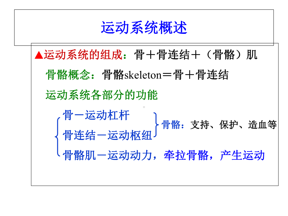 人体解剖学复习课.ppt_第2页