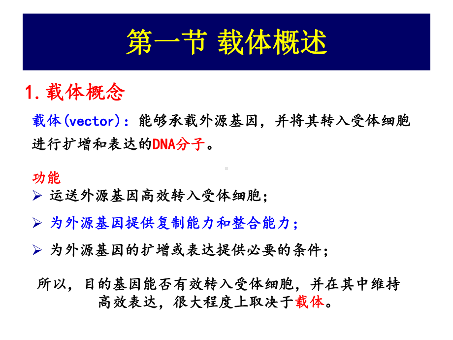 植物基因工程载体及其构建课件.ppt_第2页