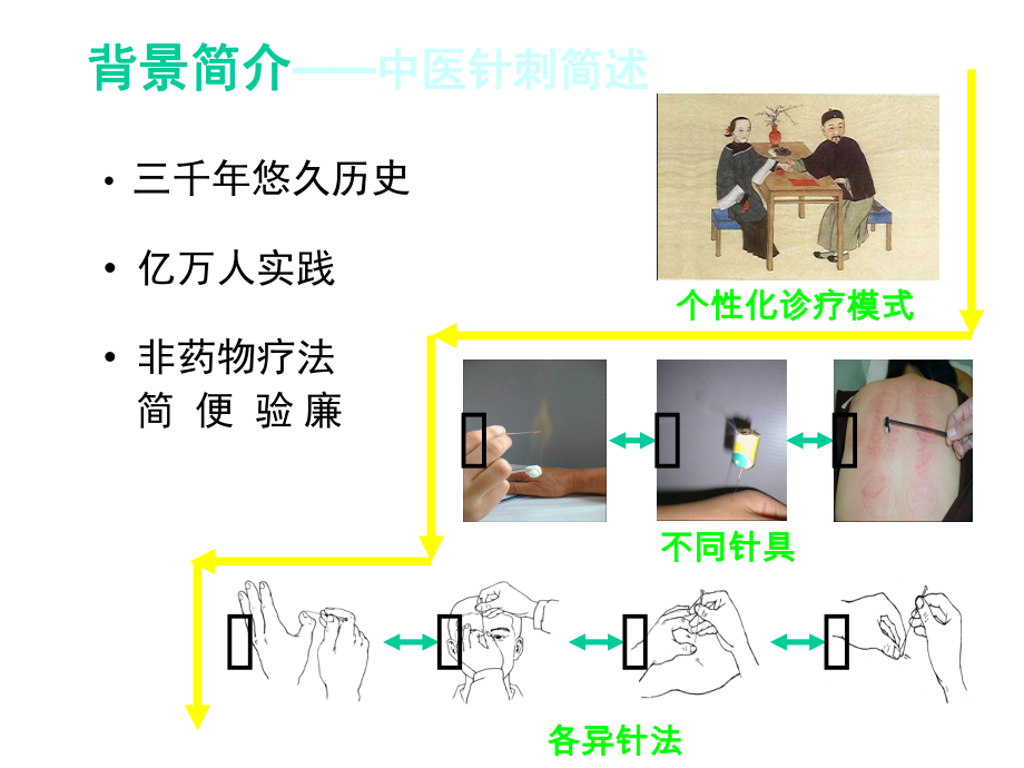 基于功能磁共振的针刺持续性效应研究.ppt_第2页