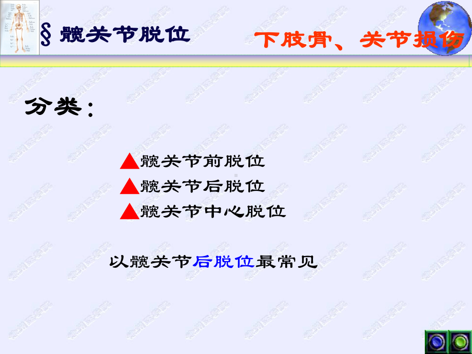 骨关节脱位(下肢)课件.ppt_第2页