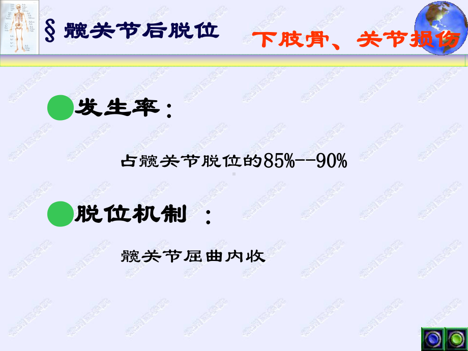 骨关节脱位(下肢)课件.ppt_第3页