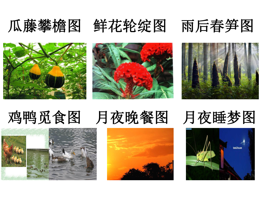 《乡下人家》第二课时课件.ppt_第3页