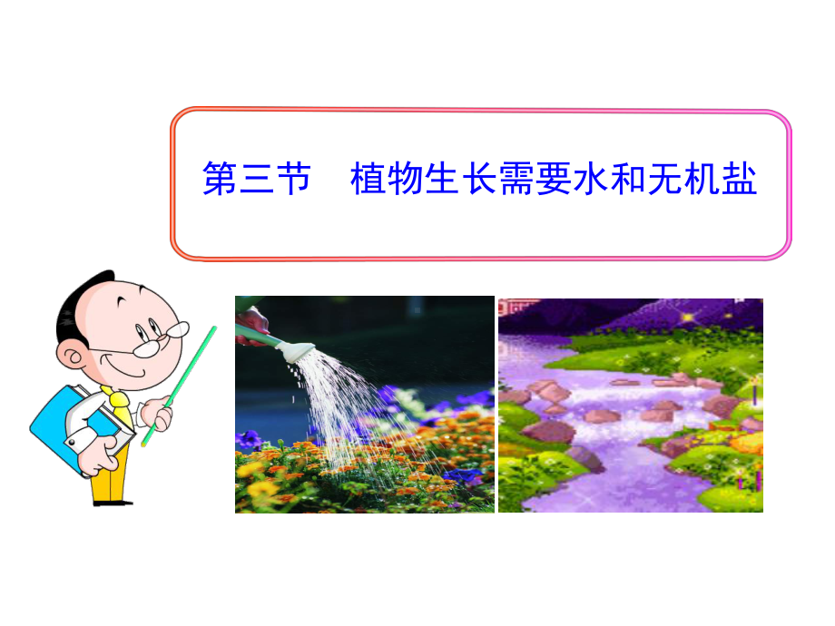 苏教版七年级生物上册《植物生长需要水和无机盐》课件.ppt_第1页