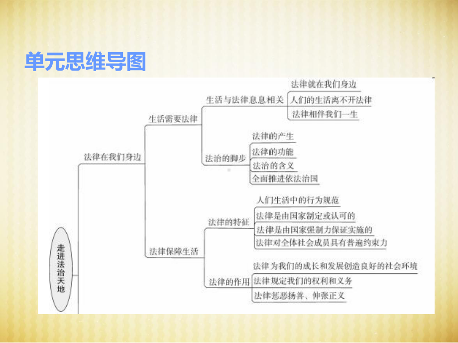 部编版七年级道德与法治下册课件第四单元复习.ppt_第2页