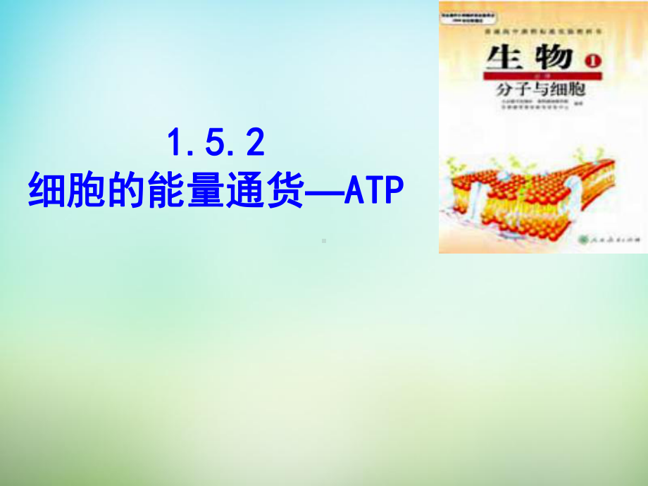 江西省某中学高中生物52细胞的能量“通货”ATP课件新人教版必修1.ppt_第1页