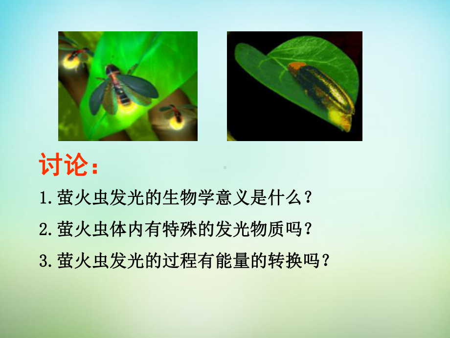 江西省某中学高中生物52细胞的能量“通货”ATP课件新人教版必修1.ppt_第3页