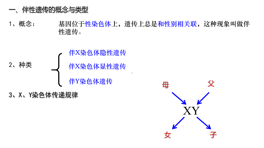 高中生物必修二伴性遗传基础复习课件.pptx_第2页